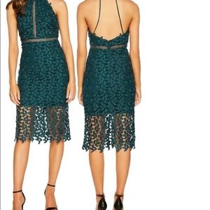 Bardot lace halter cocktail dress. fitted bodice of an elegant lace dress